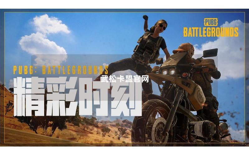 武松卡盟官网