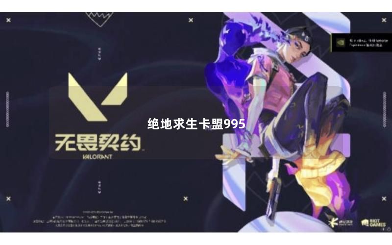 绝地求生卡盟995