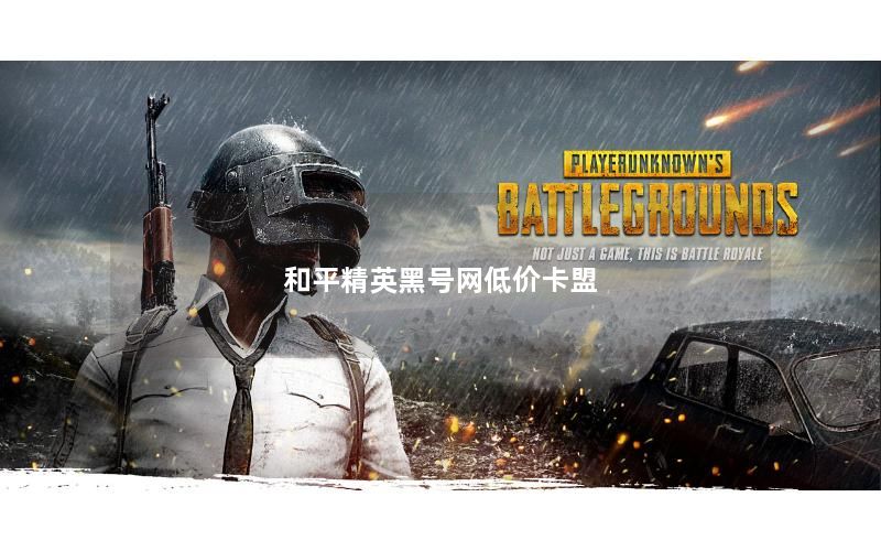 和平精英黑号网低价卡盟
