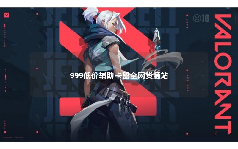 999低价辅助卡盟全网货源站