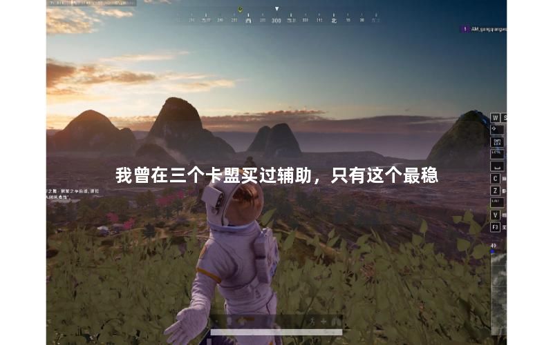 我曾在三个卡盟买过辅助，只有这个最稳