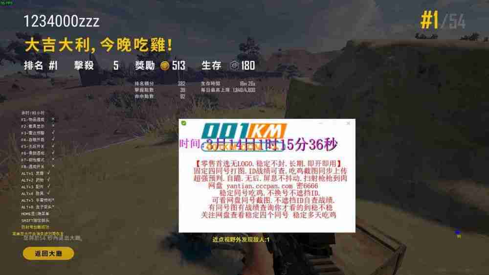 绝地求生炎天辅助