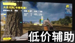 <b>绝地求生RAP：吃鸡战场节奏风暴，战术说唱燃爆全场</b>