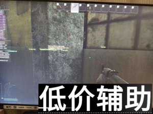 <b>逃离塔科夫跑刀辅助：全功能雷达 骨骼透视 方框血条 AI玩家识别</b>