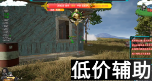 <b>绝地求生辅助-阿巴阿巴 版本LOGO自由定制 零售改名主推首选</b>