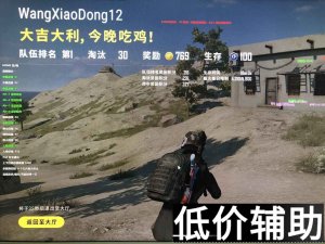 <b>绝地求生梦境辅助：五星品质稳定吃鸡，高端白号安全使用指南</b>