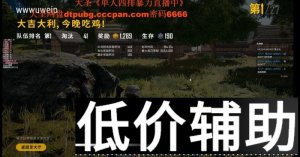 <b>绝地求生大圣归来辅助：白号使用技巧助你轻松吃鸡称霸全网</b>