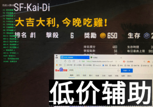 <b>绝地求生机器猫辅助：透视自瞄子弹追踪瞬间击中实战解析</b>