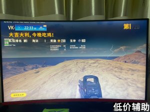 <b>绝地求生迈巴赫辅助：专业品质保障，极致游戏体验</b>