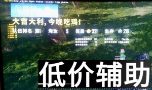 <b>绝地求生安妮辅助使用指南：无边框模式设置与</b>