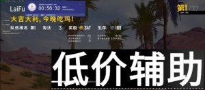 <b>绝地求生绿帽辅助：全屏稳定运行，兼容所有系统，零售后无忧体验</b>