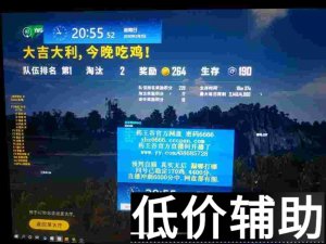 <b>绝地求生药王谷辅助工具下载与使用教程</b>