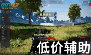 <b>绝地求生天行者正版辅助下载与使用教程</b>
