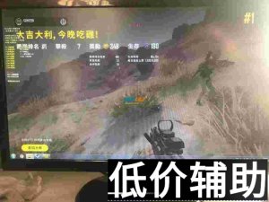 <b>绝地求生DEMON/恶魔辅助最新稳定版下载与使用教程</b>