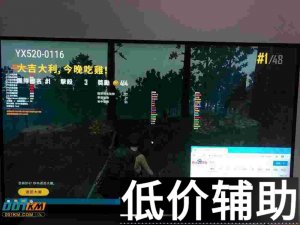 <b>绝地求生海贼王诸神之怒辅助下载及使用教程</b>