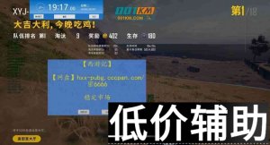 <b>绝地求生西游记辅助：透视与预判自瞄功能全面解析</b>