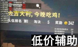 <b>绝地求生奥斯卡辅助原飘雪 - 专业辅助工具解析与下载</b>
