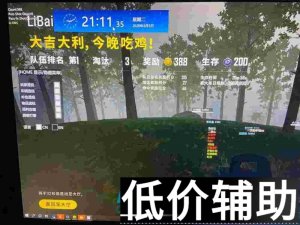 <b>绝地求生李白辅助最新稳定版已上线十天无异常</b>