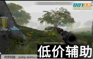 <b>绝地求生修罗辅助：防截图过OBS终极解决方案</b>