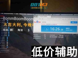 <b>绝地求生吟龙辅助 - 稳定奔放 安全使用指南</b>