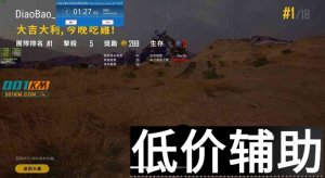 <b>绝地求生刁豹辅助使用教程与下载指南</b>