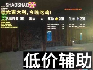 <b>绝地求生咸鱼辅助 外部绘制功能清爽优化</b>