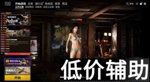 <b>绝地求生辅助大蛇丸：外挂功能解析与实战评测</b>
