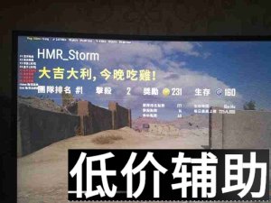 <b>绝地求生最强稳定辅助，延续不败传奇！</b>