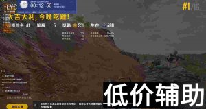 <b>绝地求生蓝银草辅助：排位稳定上分神器</b>