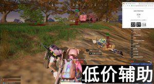 <b>绝地求生大炮辅助使用技巧与实战效果解析</b>