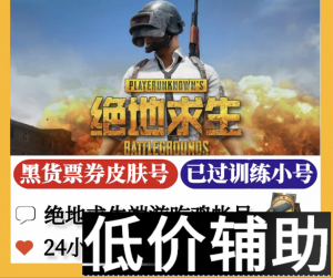 <b>绝地求生账号交易、购买与安全指南</b>