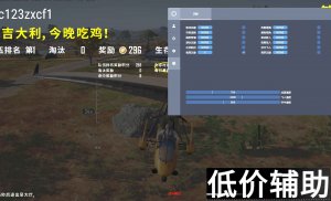 <b>PUBG树叶辅助：提升隐蔽性的终极指南</b>