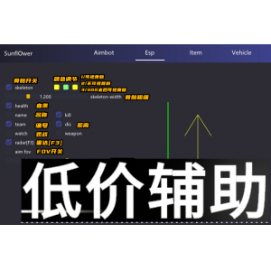 绝地求生SO内部辅助：独家透视自瞄 无后坐力，稳定吃鸡不封号