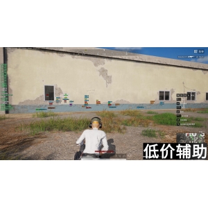 《绝地求生天师辅助：一键吃鸡必备神器，轻松登顶排行榜！》