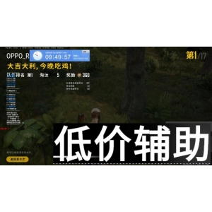 绝地求生最强刺客辅助：内部稳定不封号，吃鸡必备神器！